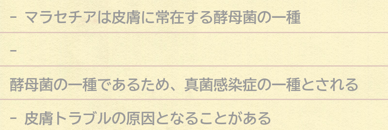 マラセチアとはどのような菌なのか?の要点まとめ